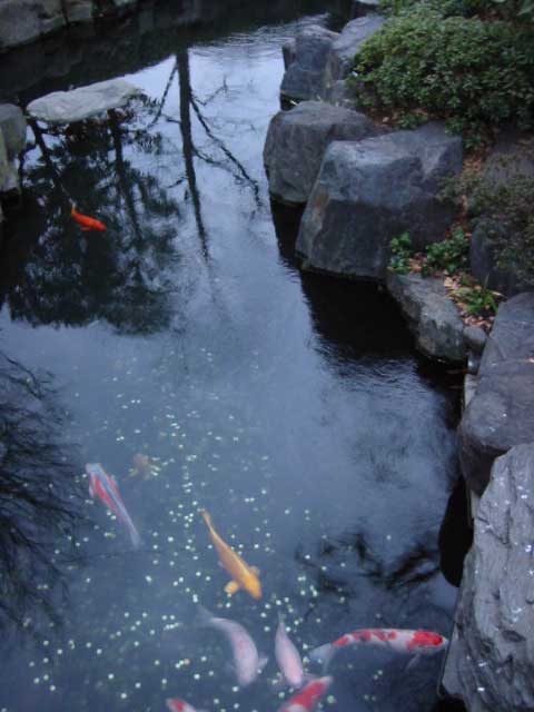 Asakusa Park, Tokyo