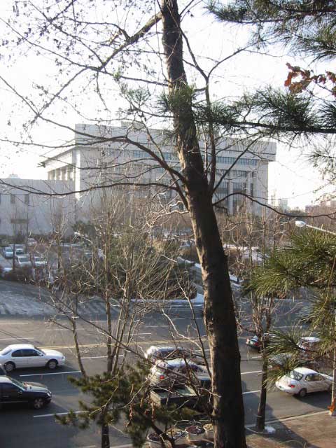 Seoul, Korea