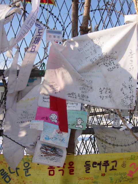 Bridge of Freedom