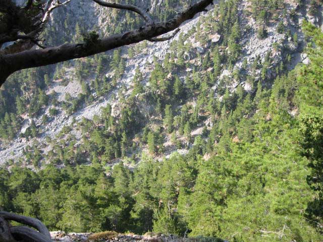 Samaria Gorge