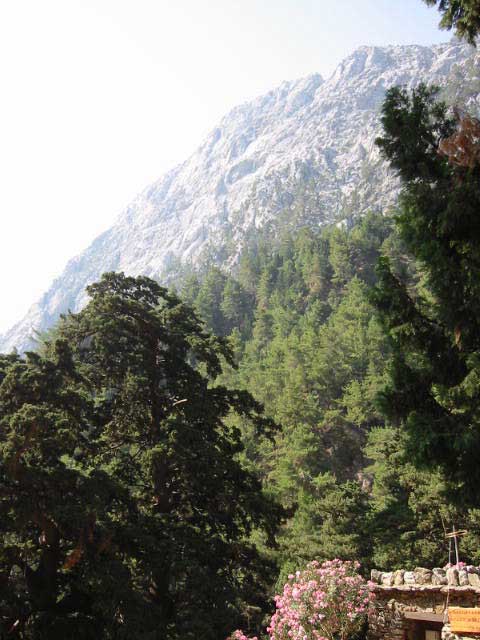 Samaria Gorge