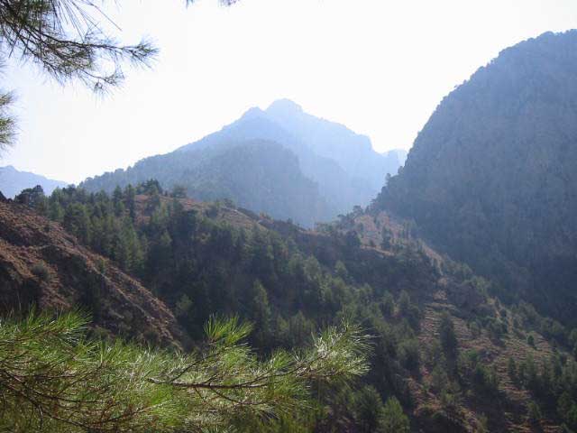 Samaria Gorge