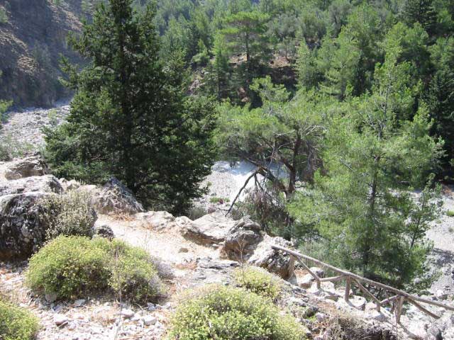 Samaria Gorge