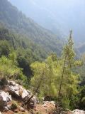 Samaria Gorge
