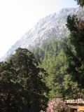 Samaria Gorge