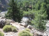 Samaria Gorge