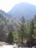 Samaria Gorge
