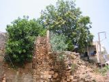 Chania
