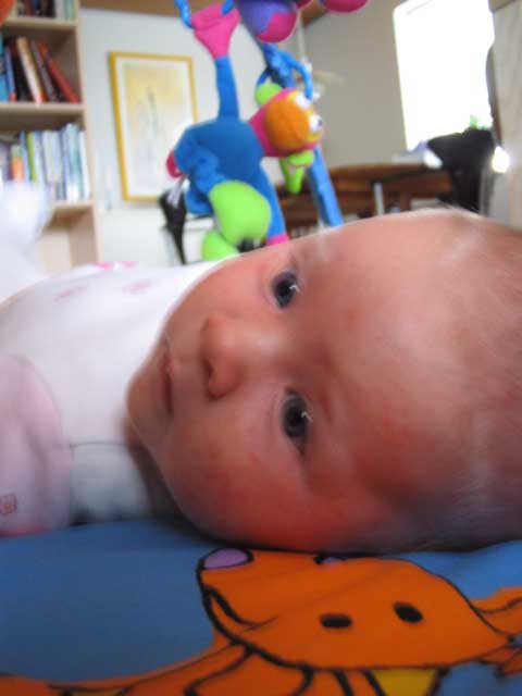 IMG_0701.JPG