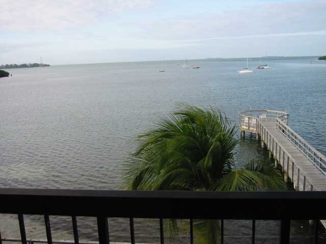 IMG_1668.JPG