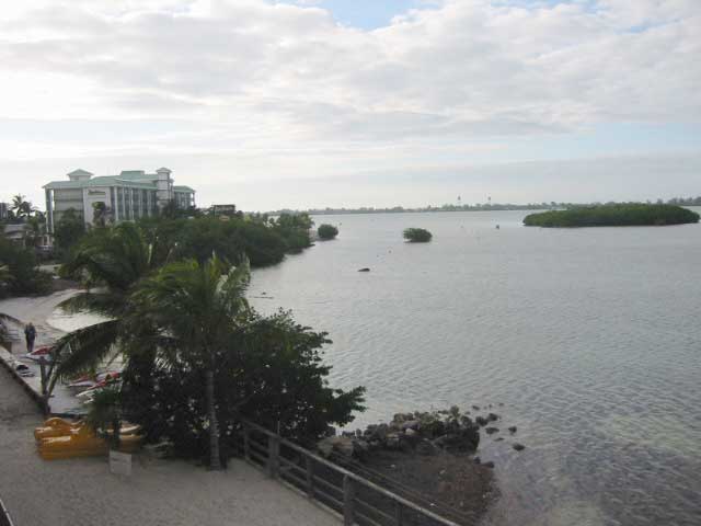 IMG_1669.JPG