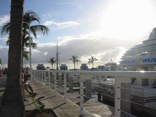 IMG_1675.JPG