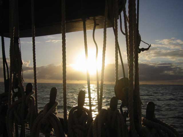 IMG_1692.JPG