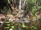 IMG_1614.JPG