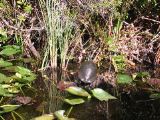 IMG_1634.JPG