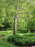 ChezLeah: Kolding 