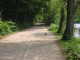 IMG_1855.JPG