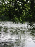 IMG_1858.JPG