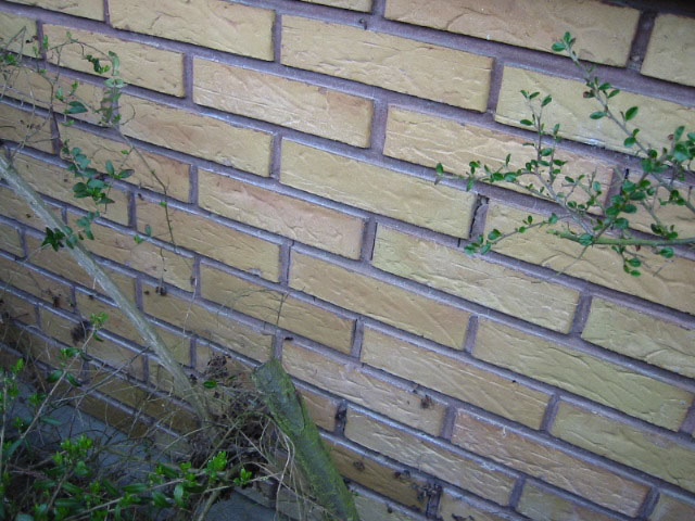 outside wall