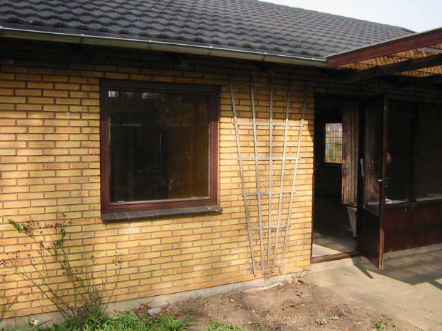 back of house