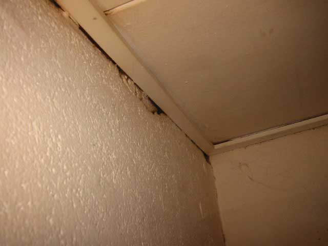ceiling damage