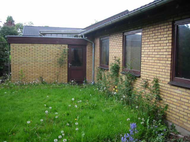 5-25: backyard