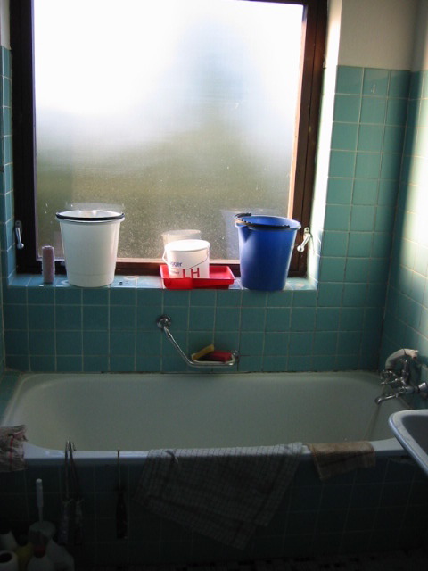 Bathroom (before picture)