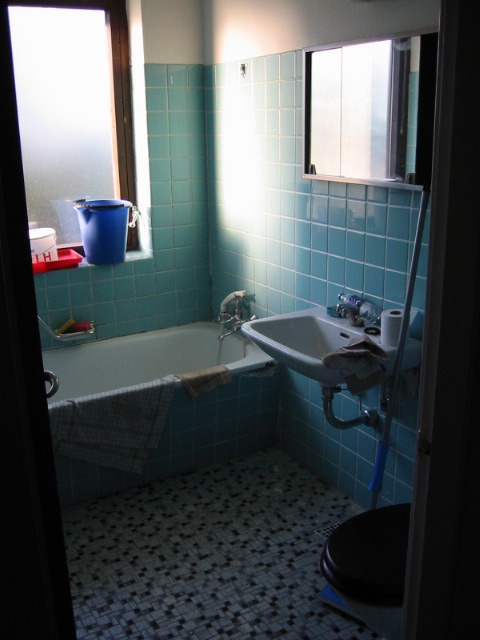 Bathroom (before picture)