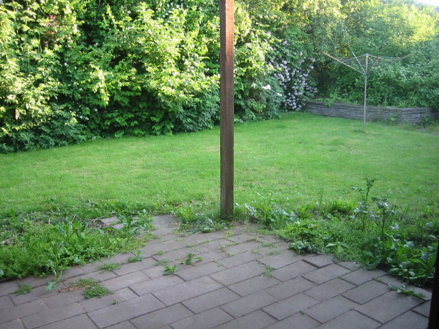 patio, backyard