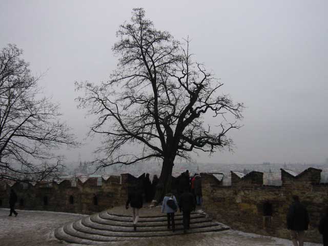 IMG_0863.JPG