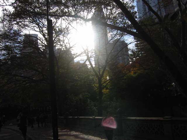 Central Park